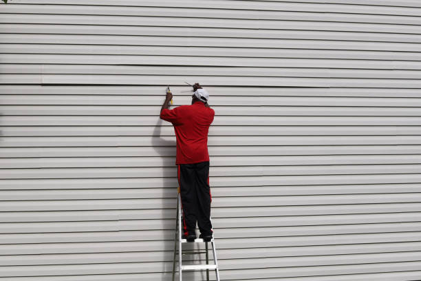 Best Historical Building Siding Restoration  in Alexander, AR